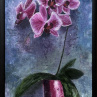 Orchidej