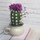 Jehelníček - kvetoucí kaktus