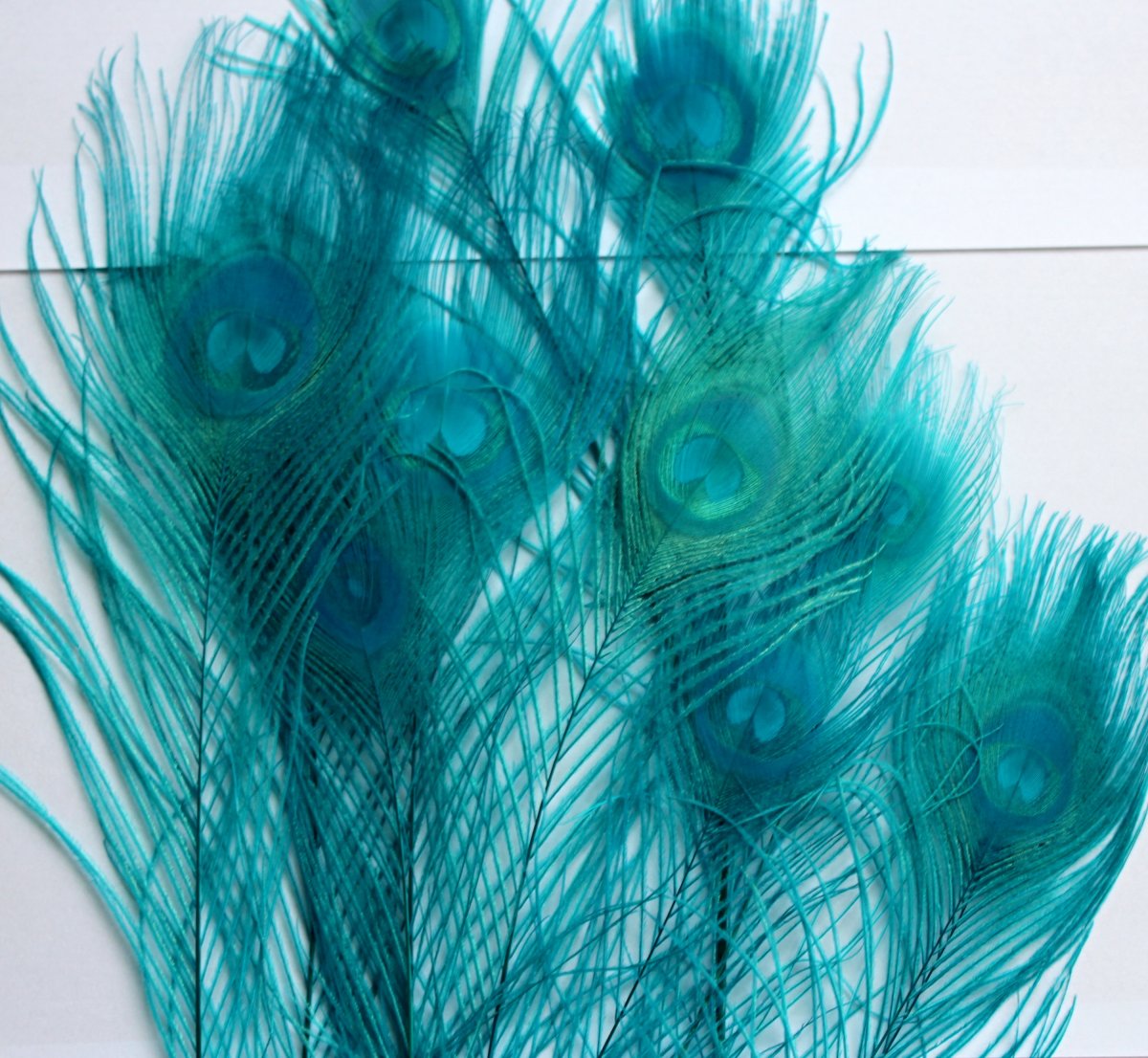 Paví peří modré 25-30cm (1ks)