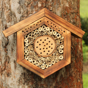 Včelí domeček, přírodní