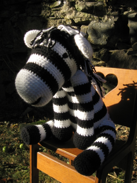 Zebra návod