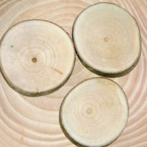 Kolečka s kůrou - javor -prům. 5 - 7 cm