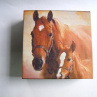 Dřevěná krabička - Koně
