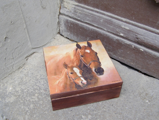 Dřevěná krabička - Koně