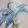 Akvarel originál Něžné lilie