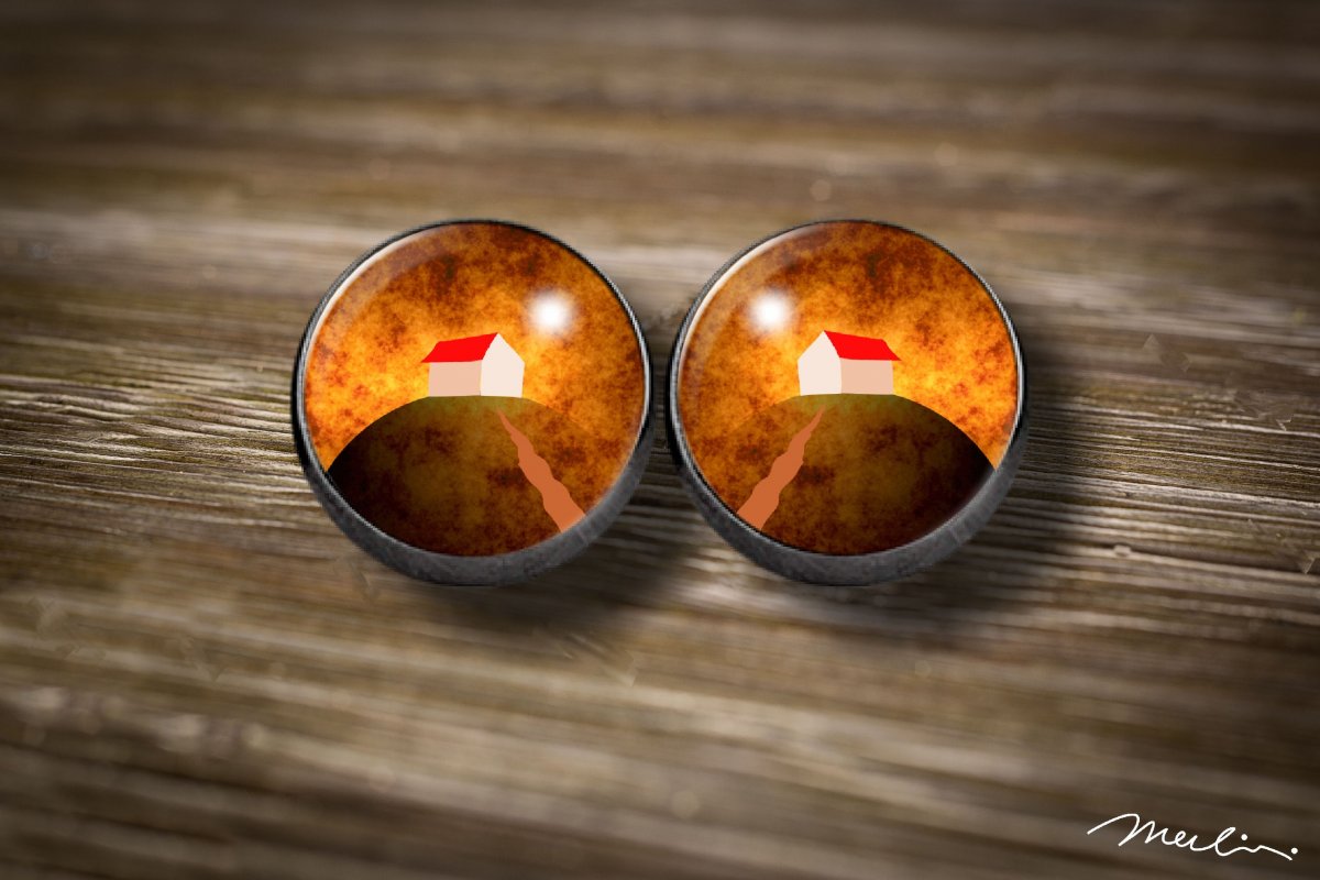 Cesta domů - náušnice