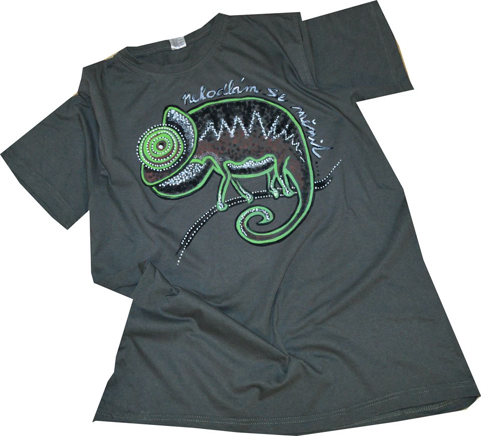 NEHODLÁM SE MĚNIT - tričko pánské