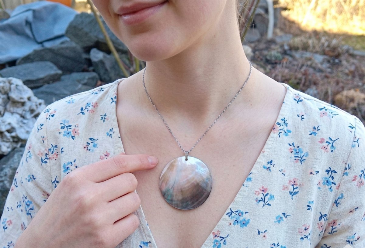 Abalone paua perleť náhrdelník na řetízku z chirurgické oceli