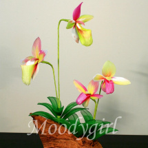 Dekorace - Orchideje na pařezu