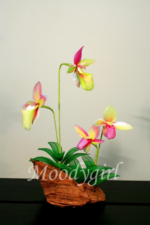 Dekorace - Orchideje na pařezu