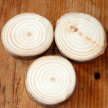 Dřevěné kolečko s kůrou osika - prům. okolo 6 cm