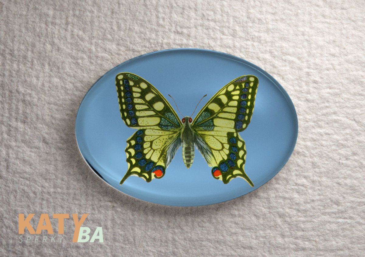 Kabošon 40 x 30 mm, motýlek - Otakárek fenyklový