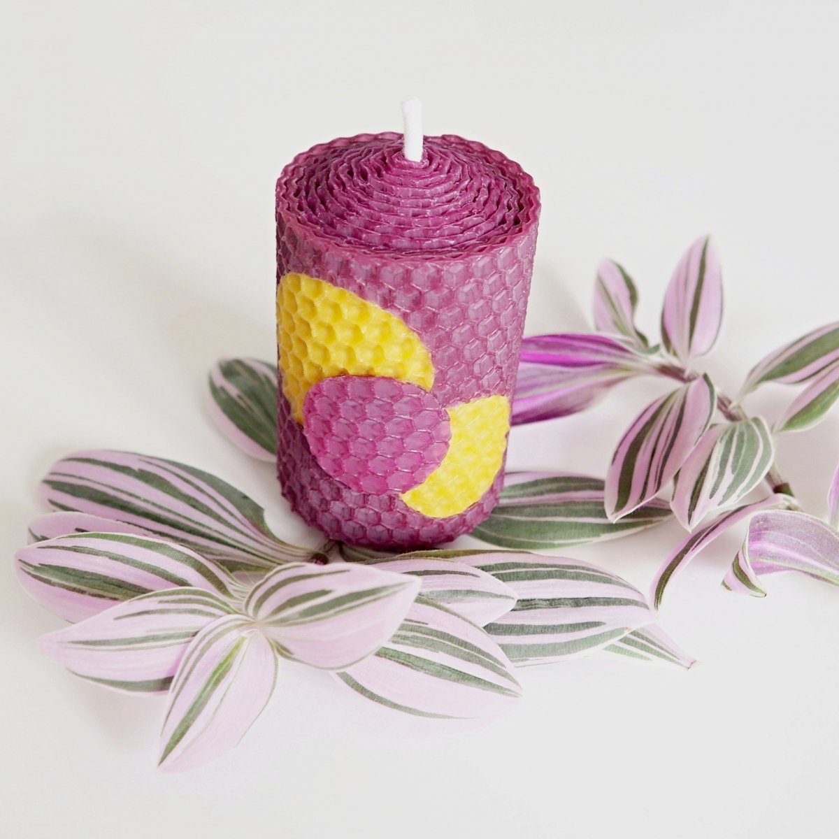 Včelí puntíkování