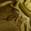 Motýli - hedvábná šála