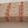Jmenovky ivory s krajkou a zlatou stuhou
