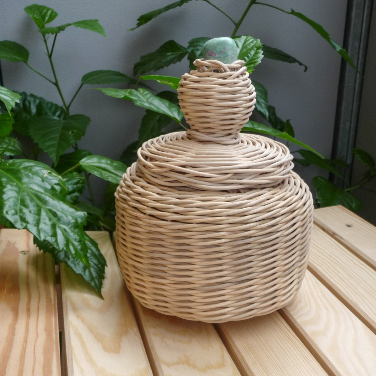 Malá dóza s rubínem ve fuchsitu