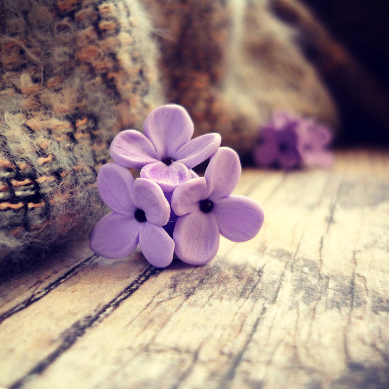 Provence - náušnice