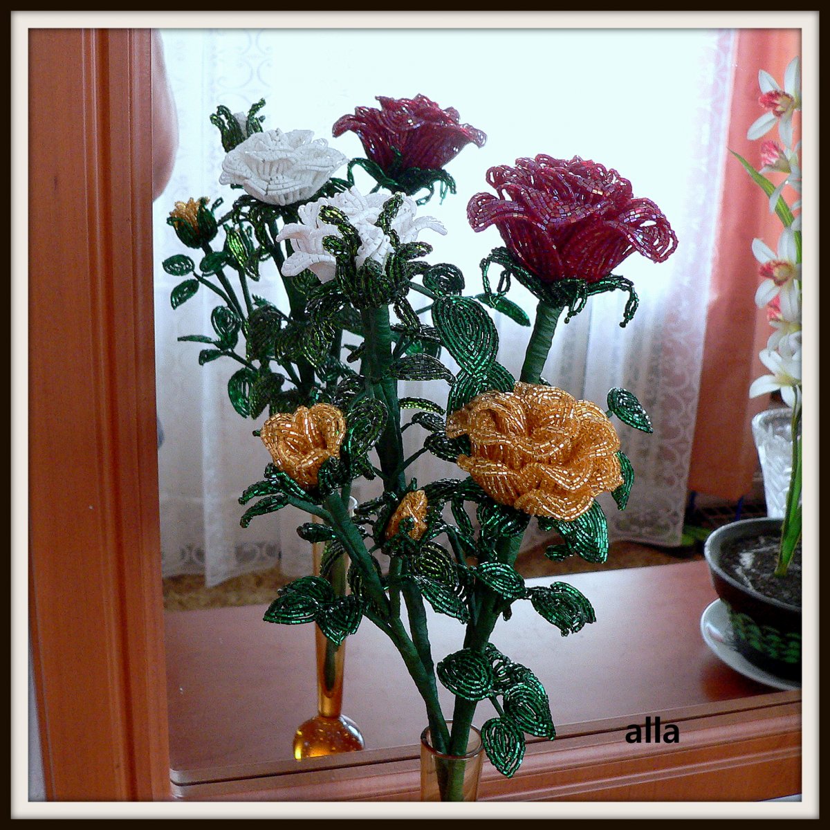 bílá růže s poupětem