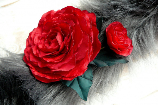 Čajová růže jako zralé víno.