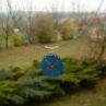 Modré vějířkovaté kolečko - náhrdelník