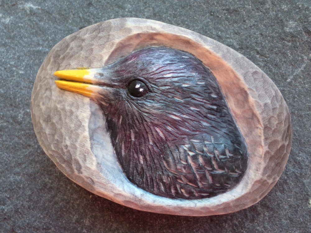 Spona do vlasů - špaček