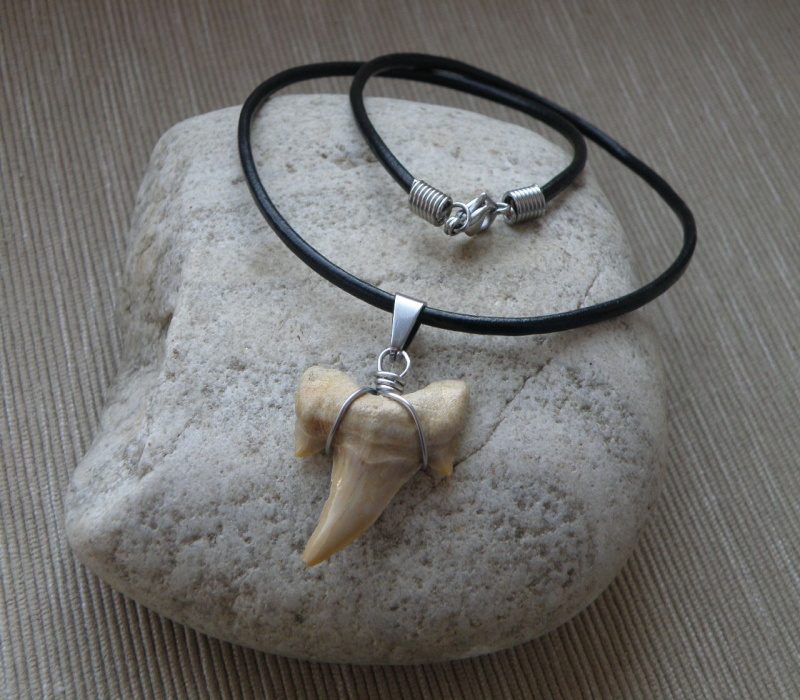 Přívěšek - Zub ze žraloka