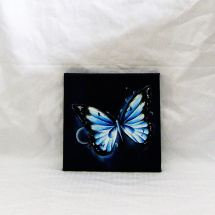obrázek-modrý motýl