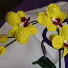 Větvička orchideje - žlutá