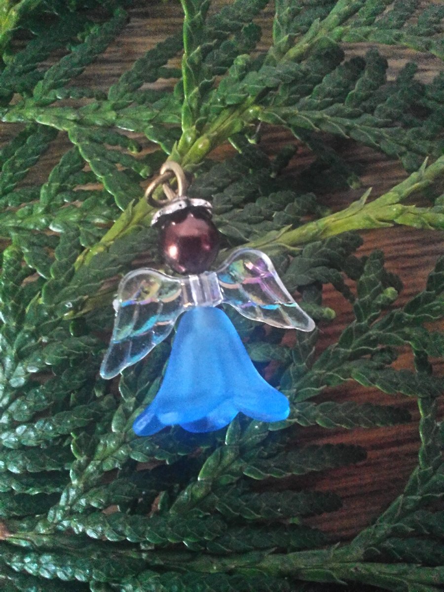 andílek modrý malý