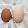 Vajíčka, kraslice s kuřátky