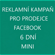 REKLAMA FACEBOOK MINI