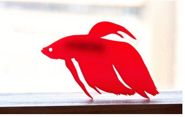 BROŽ RYBA ČERVENÁ