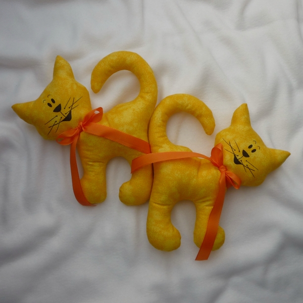 Kočička Z NEJJASNĚJŠÍCH