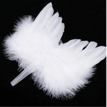 Andělská křídla bílá 10*8 cm