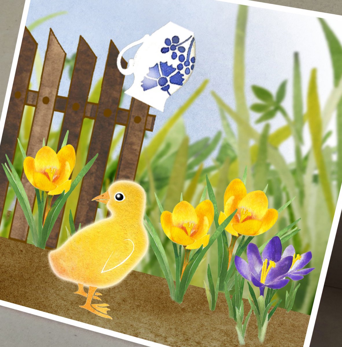 Přání - ZATOULANÉ HOUSÁTKO