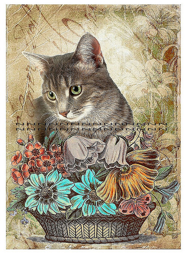 Bavlněný panel A2f