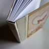 Romantický zápisník - sketchbook s motívom Ruží A5