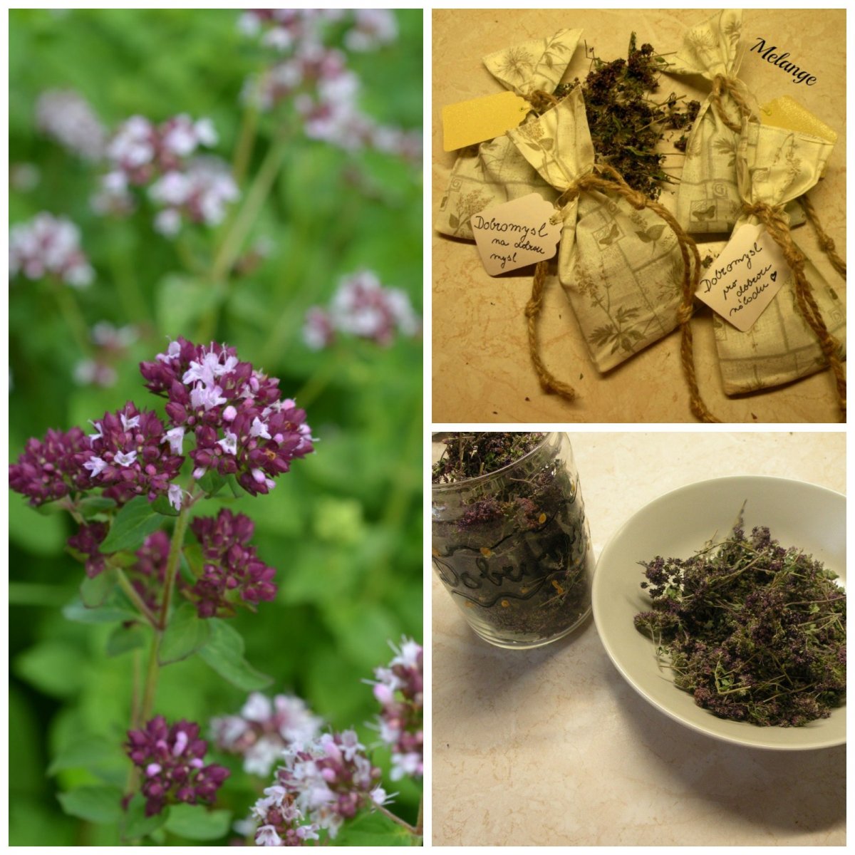 Dobromysl -pytlíčky na uklidnění duše