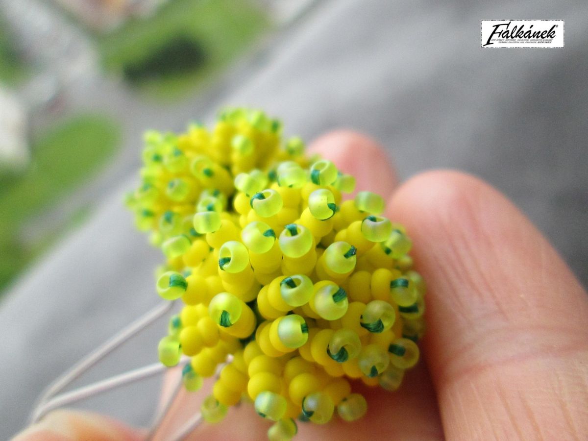 Ježátka žluto-zelená