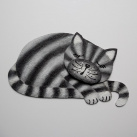 Spící kocourek šedý 