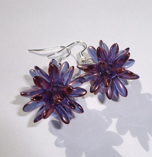 Modroměděný ježeček