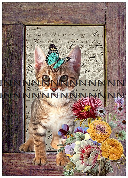 Bavlněná látka - panel  B1a