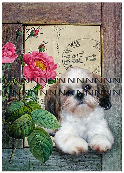 Bavlněná látka - panel  B1c