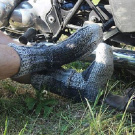 pánske sivé podkolienky