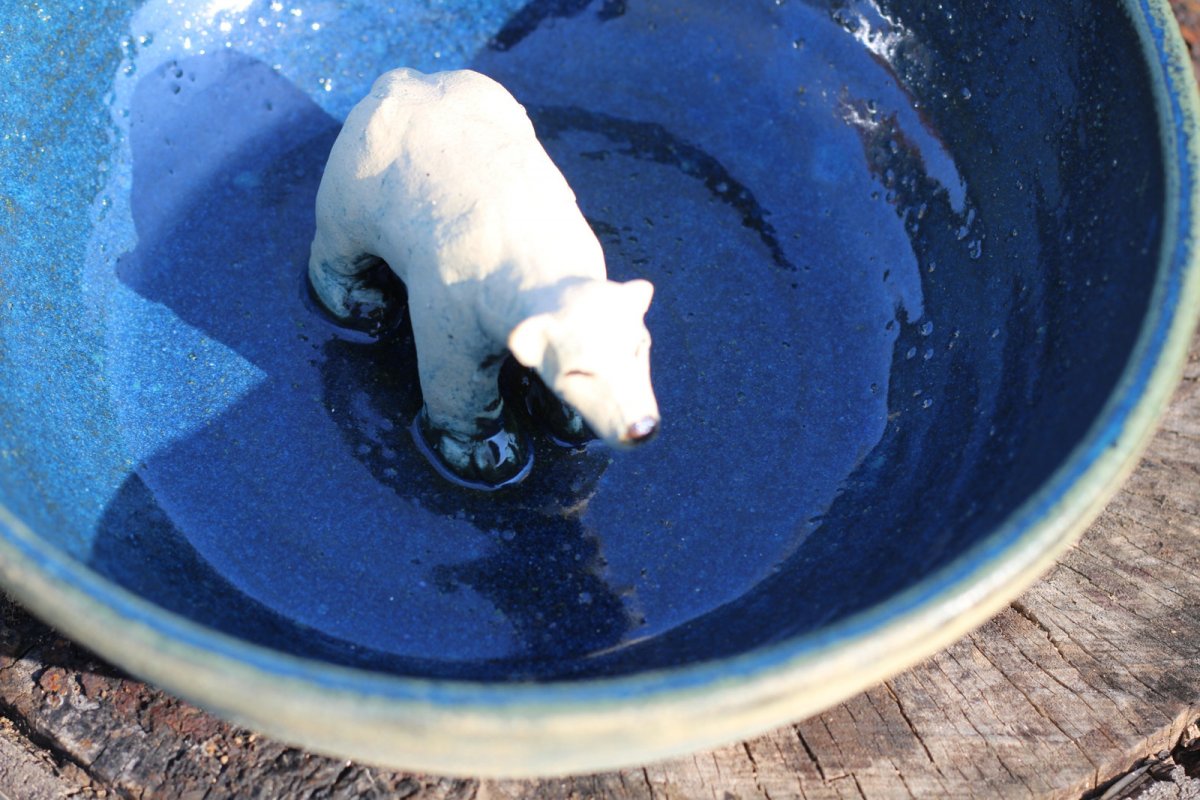 Pítko s ledním medvědem