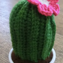 Háčkovaný kaktus