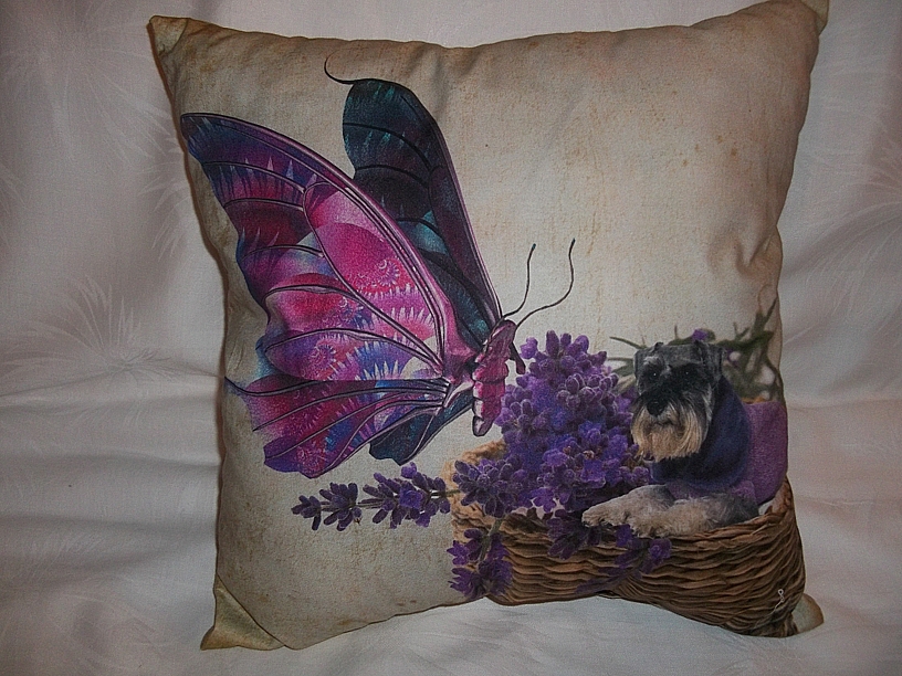 Originální polštář  VEL. 43 X 43 cm UP24