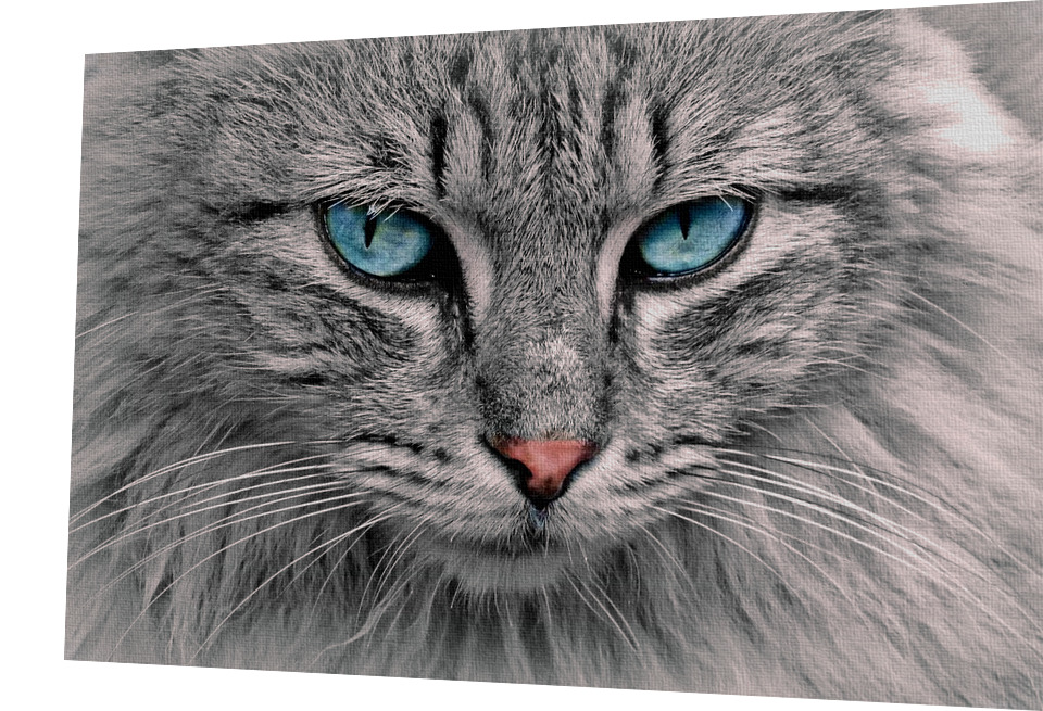 BAVLNĚNÝ PANEL -   17,5 X 26 cm K12