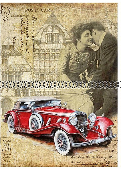 Bavlněná látka - panel   DP111