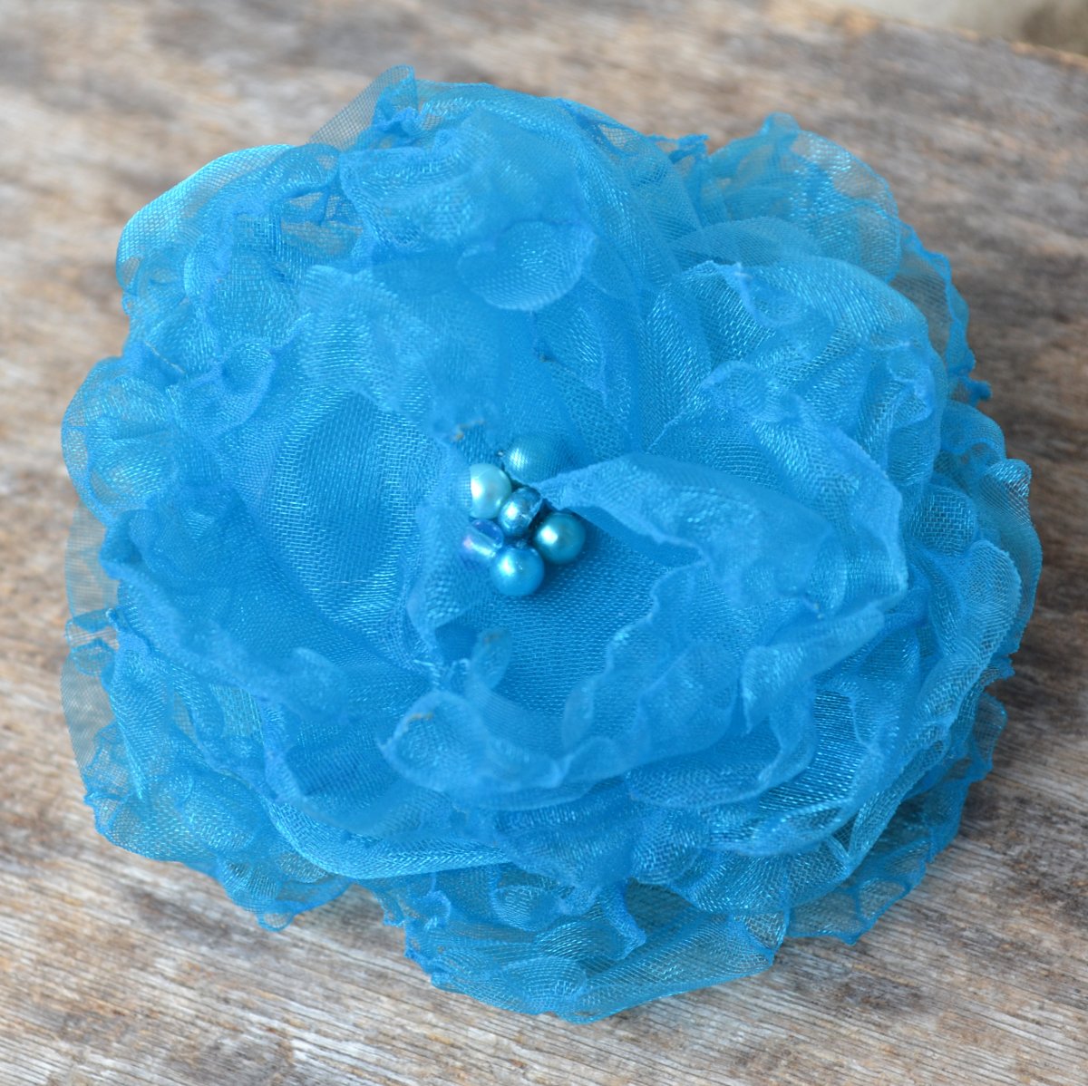 Třapatka - Tyrkysová